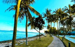 Ocean Drive (D4), Detached #582387721